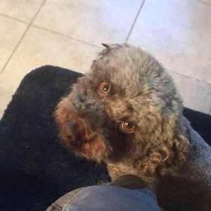 Meet your Posher, Mary